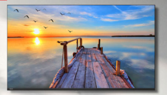 Toshiba 43 Inch Full HD Digital TV (Frameless)
